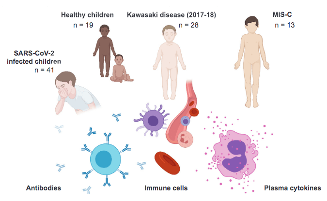 Pathogenesis of hyperinflammatory syndrome associated with COVID-19 in children